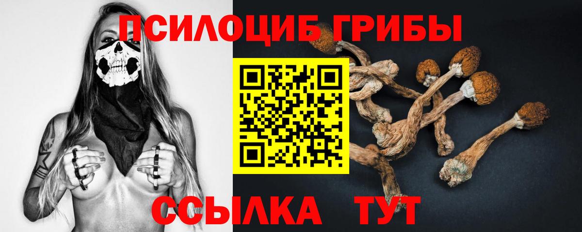 купить  цена  Галлюциногенные грибы Magic Shrooms  Нижний Новгород  Вход с VPN  Псилоцибиновые грибы мицелий 
