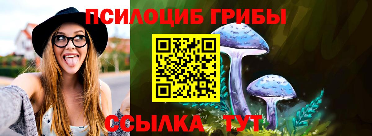 Галлюциногенные грибы Cubensis Нижний Новгород